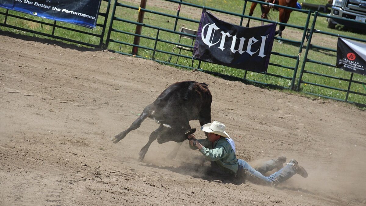 Canoe Mountain Rodeo